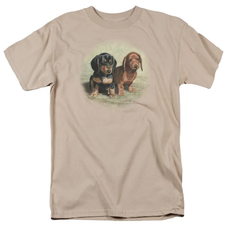 Wild Wings - Dachshund Pups